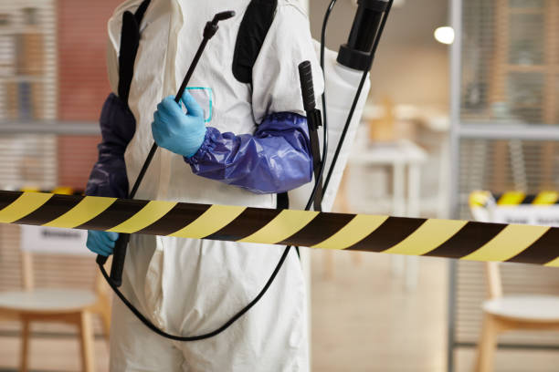 Professional Sewage Cleanup technician working in Ionia, MI